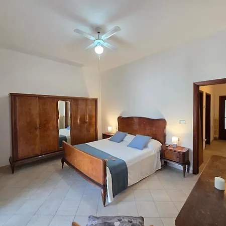 Orchidea Silvi 锡尔维玛丽娜