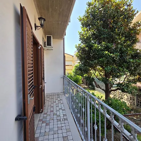 Orchidea Silvi 锡尔维玛丽娜