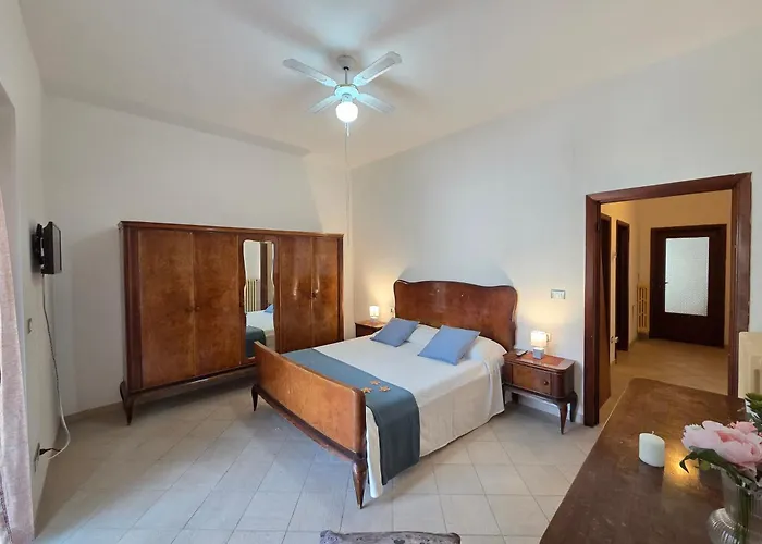 Orchidea Silvi シルヴィ・マリーナ