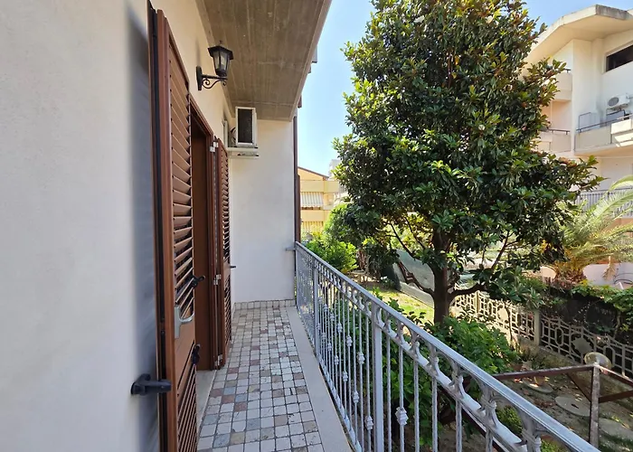 Orchidea Silvi シルヴィ・マリーナ